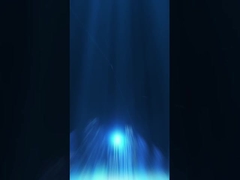 Embalagens de armazenagem (1)